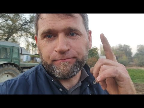 Видео: Мы Её Победили!!!А То Что не Победили, обязательно Победим!