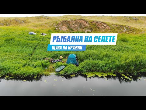 Видео: Селетинские красоты. Ловим щуку на кружки - река Селета.