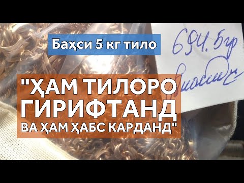 Видео: Дар Суғд баҳси 5 кило тило бо “Имон” поён наёфтааст