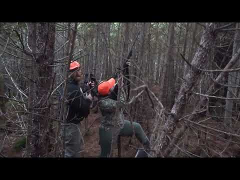 Видео: Осенняя охота на медведя с гончими в штате Мэн 2025: Гранд-шлем!