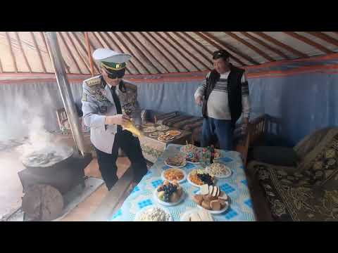 Видео: Замд гарья  3