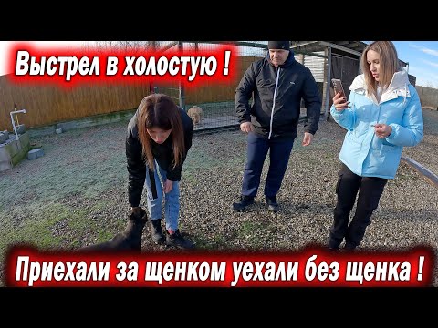 Видео: Я в ШОКЕ !!! Приехали за щенком уехали хейтерами ! Обещали разослать видео по всем питомникам.
