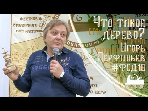 Видео: Что такое дерево? Игорь Перфильев на #ФСД18