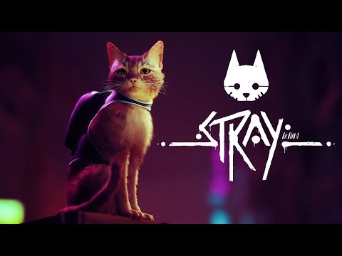 Видео: №3 - STRAY - КОШКА ГУЛЯЕТ САМА ПО СЕБЕ - СТРИМ