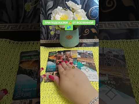 Видео: ТРИ ПОДСКАЗКИ ✅от вселенной 🌎