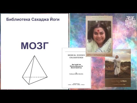 Видео: "Как устроен наш МОЗГ?" Библиотека Сахаджа Йоги.