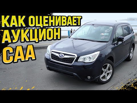 Видео: ВСЯ ПРАВДА об аукционах Японии / Как оценивает авто аукцион CAA / ВЫПУСК 1