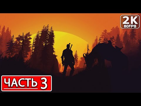 Видео: THE WITCHER 3: WILD HUNT Полное Прохождение Часть 4 ВЕДЬМАК 3 ДИКАЯ ОХОТА #shorts