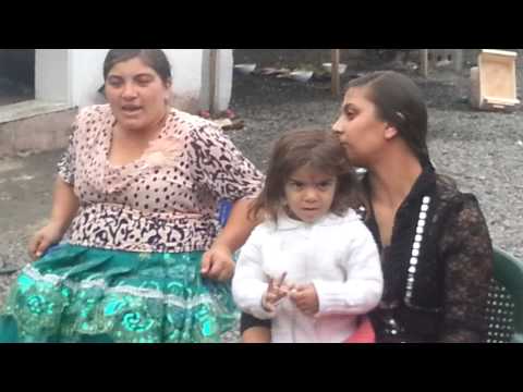 Видео: Богар