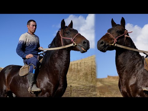 Видео: Азамат аке | Алтын булак 28.10.2022