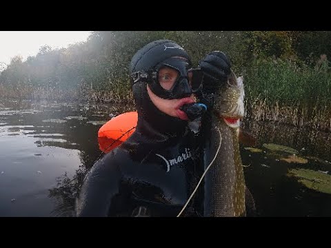 Видео: Подводная охота, ОГРОМНАЯ ЩУКА, ВЗЯЛ ТРОФЕЙ.