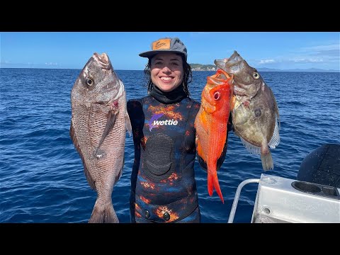 Видео: Wettie TV | ПОДВОДНАЯ ОХОТА Кристально чистая вода | МЕТОДЫ ЛОВЛИ КАРЛИКОВОЙ КОРОЛЕВСКОЙ РЫБЫ И С...