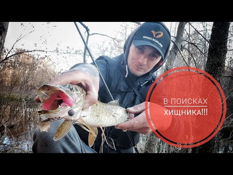 Видео: Ловля щуки на малой реке.