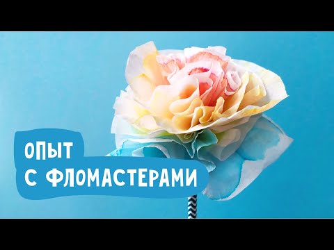 Видео: Опыт с фломастерами «Хроматография». Опыты для детей.