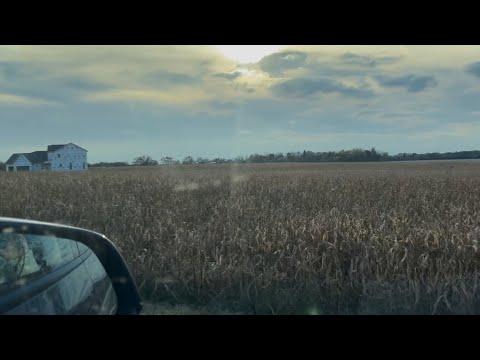 Видео: Почему Фермеры не Собирают Кукурузу Осенью | Tractor Supply |Walmart ￼