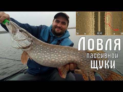 Видео: Ловля пассивной щуки на джиг. Как увидеть щуку в эхолоте. Всё о ловле на мандулу!