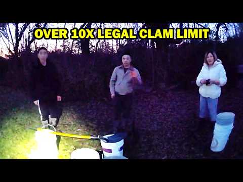 Видео: МАССИВНЫЙ бюст из твердой скорлупы CLAM — коммерческое количество — штат Вашингтон