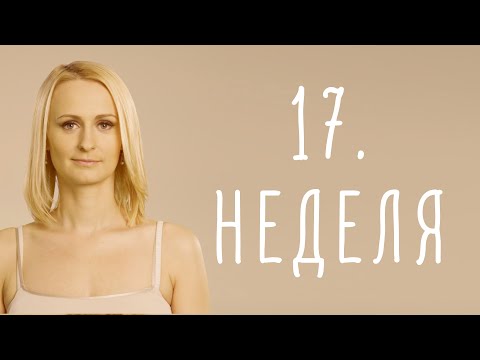 Видео: 17. неделя беременности