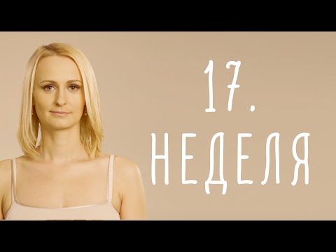 Видео: 17. неделя беременности