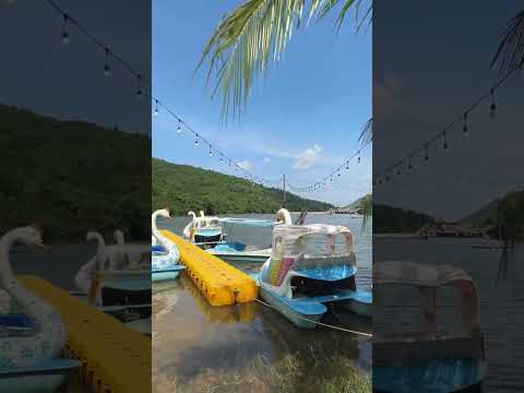 Видео: #Вьетнам_#Zcamp Nha Trang_прямой эфир с Татьяной Колибри_ ЧАСТЬ 1