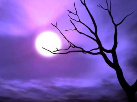 Видео: Briz-Проси всё что хочешь