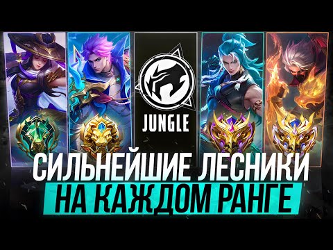 Видео: ЛУЧШИЕ АКТУАЛЬНЫЕ ЛЕСНИКИ ДЛЯ КАЖДОГО РАНГА / МЕТОВЫЕ ГЕРОИ ДЛЯ ЛЕСА В 34 СЕЗОНЕ - Mobile Legends