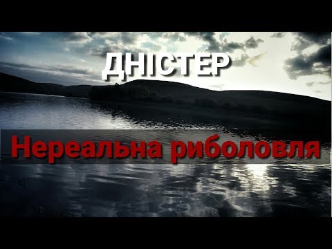 Видео: Нереальна риболовля на Дністрі. Розвели на рибу.