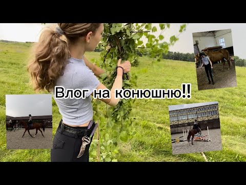 Видео: Влог на конюшню🌱