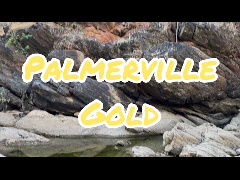 Видео: Поиск золота в выходные на станции Палмервилль