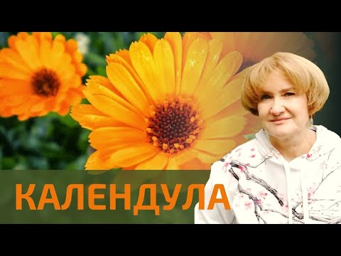 Видео: Календула – нет воспалениям!