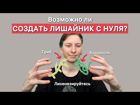 Видео: Ресинтез