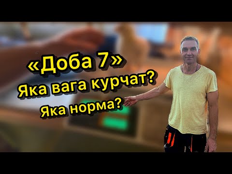 Видео: Курчатам 7 діб. Провіряємо вагу.