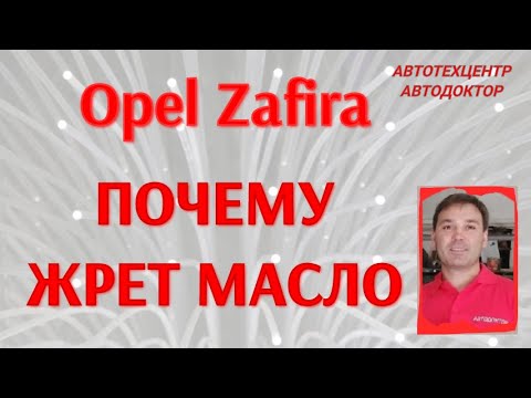 Видео: Opel Zafira (Опель Зафира). Жрет масло.