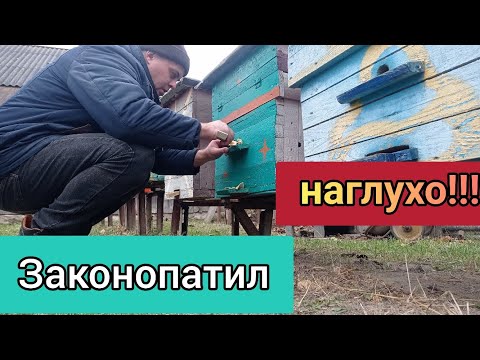 Видео: Да закрить их наглухо и пуска сидят!