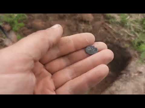 Видео: MINELAB EQUINOX 900 VS GOLD HUNTER FROGMAN MF50 тест на глубину