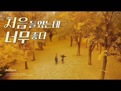 Видео: Плейлист 🎧 Романтичные мелодии, словно кадр из фильма 🍁 Коллекция музыки, пропитанной осенью