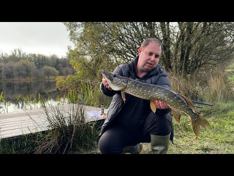 Видео: ЛОВИМО ЩУК НА МЕРТВУ РИБУ!!! І НЕ ТІЛЬКИ  ;)