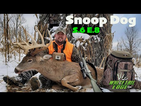 Видео: DROP TINE Buck падает в Огайо