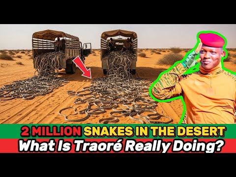 Видео: Что НА САМОМ ДЕЛЕ стоит за планом Ибрагима Траоре выпустить 2 миллиона змей в пустыне Сахель?
