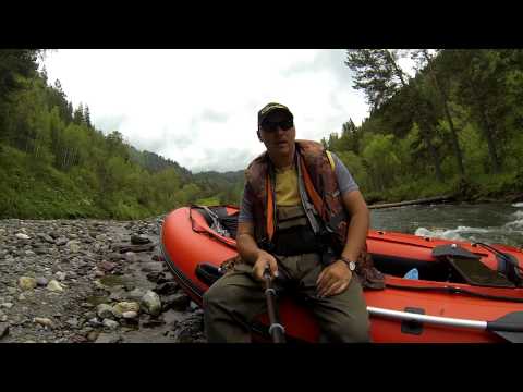 Видео: река Чемал на лодке СОЛАР 420 jet / Малые реки АЛТАЯ