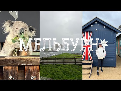 Видео: VLOG: Австралия, Ураган на острове Филиппа, Парад Пингвинов, Brighton Beach.