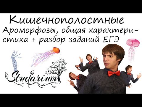 Видео: Кишечнополостные. Ароморфозы, строение кишечнополостных. Разбор заданий ЕГЭ по кишечнополостным.