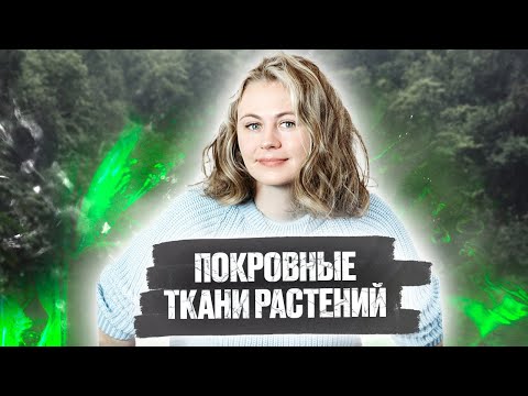 Видео: Покровные ткани растений | Биология ЕГЭ