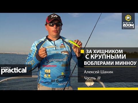 Видео: За хищником с крупными воблерами - минноу. Алексей Шанин. Часть 3. Anglers Practiсal