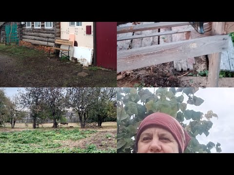 Видео: Жизнь в деревне.Уничтожаю сад.Как он помог вовремя.Осенние работы в саду продолжаются.