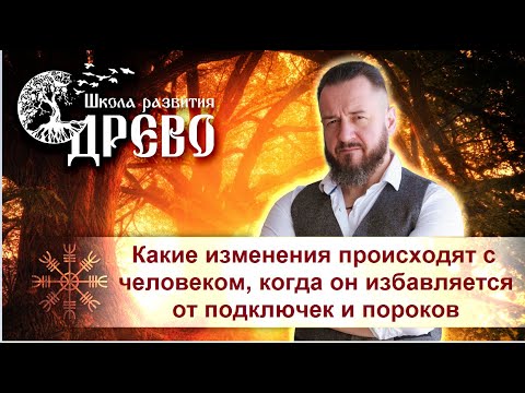 Видео: Какие изменения происходят с человеком, когда он избавляется от подключек и пороков