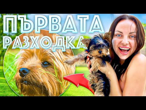 Видео: ПЪРВАТА РАЗХОДКА НА МИНИ! КАКВО СЕ СЛУЧИ? 😱