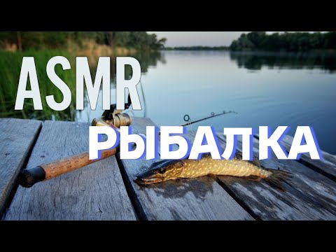 Видео: АСМР на рыбалке (шепот на природе)