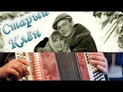 Видео: Старый клЕн