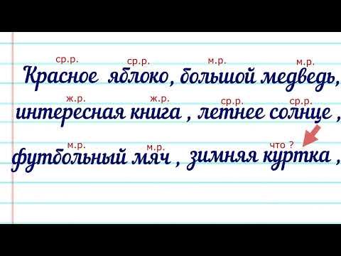 Видео: Определяем род имён прилагательных